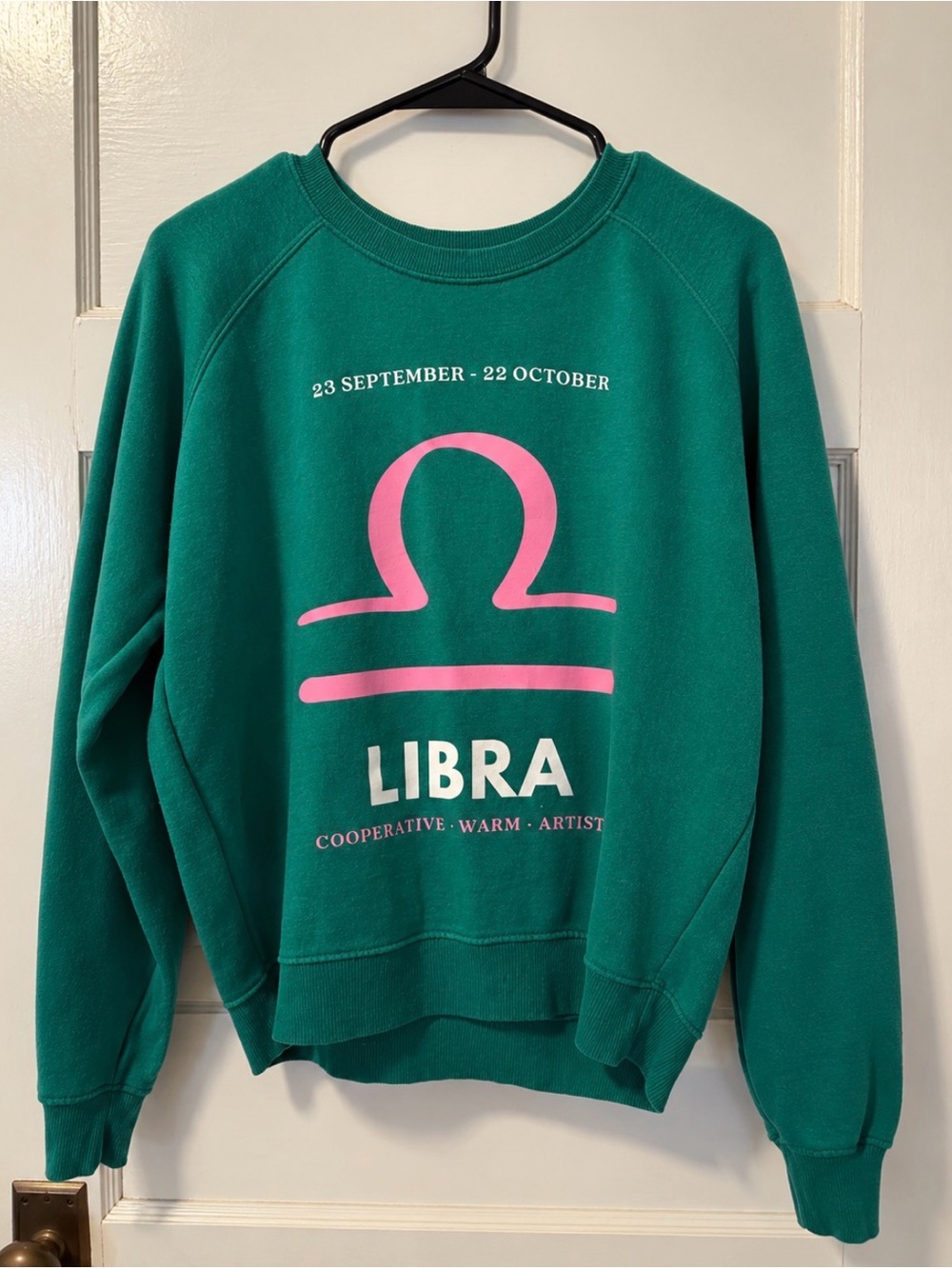Anthropologie Libra Graphic Crewneck Sweater - Teal with Pink Print